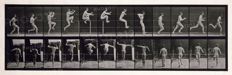 Jumping, 1872-1885. Creator: Eadweard J Muybridge.