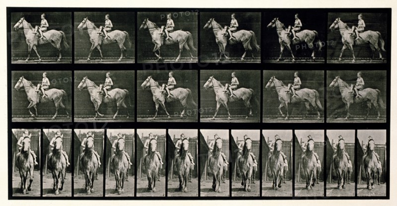 Walking, 1872-1885.  Creator: Eadweard J Muybridge.