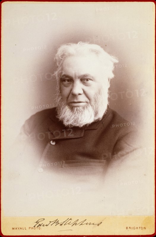 Edward B. Stephens, c1870s. Creator: John Jabez Edwin Mayall.