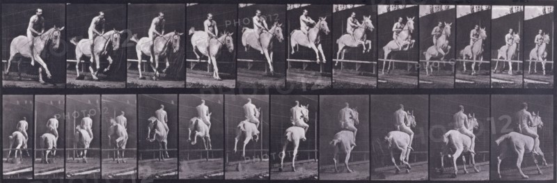 Jumping a hurdle, 1872-1885.  Creator: Eadweard J Muybridge.