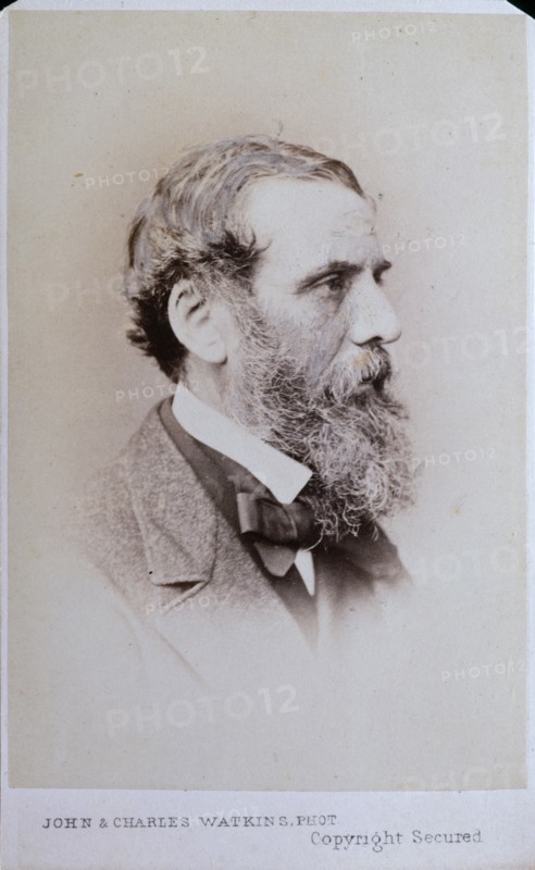 Richard Ansdell R.A., c1857. Creator: John & Charles Watkins.