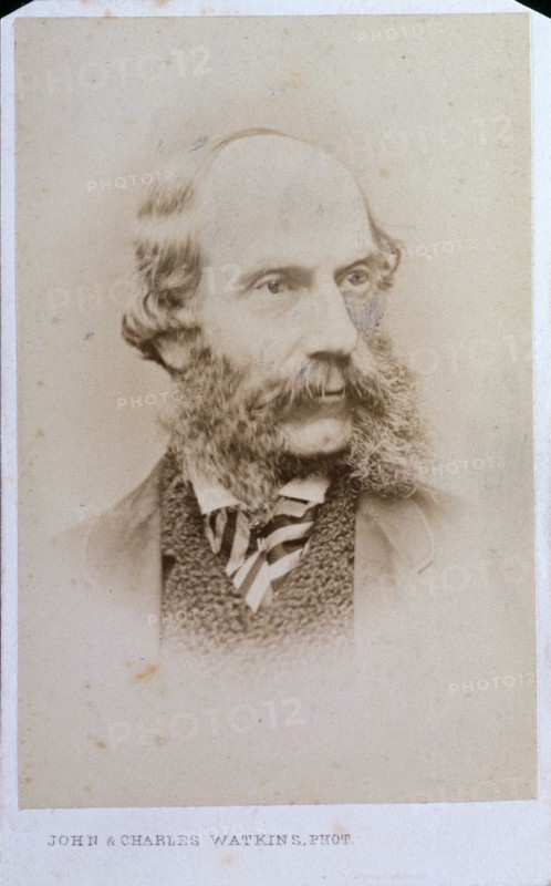 James Francis Danby, c1857. Creator: John & Charles Watkins.