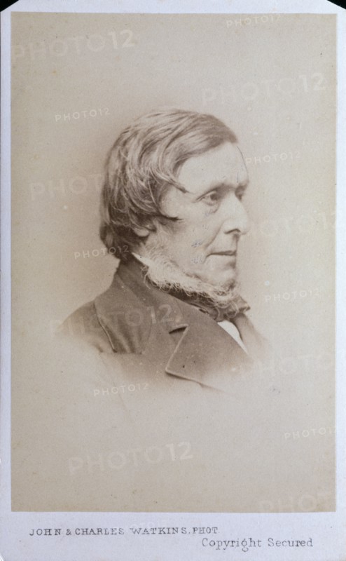 Sir William Boxall R.A., c1857. Creator: John & Charles Watkins.