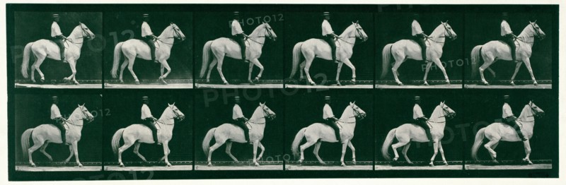Walking, 1872-1885.  Creator: Eadweard J Muybridge.