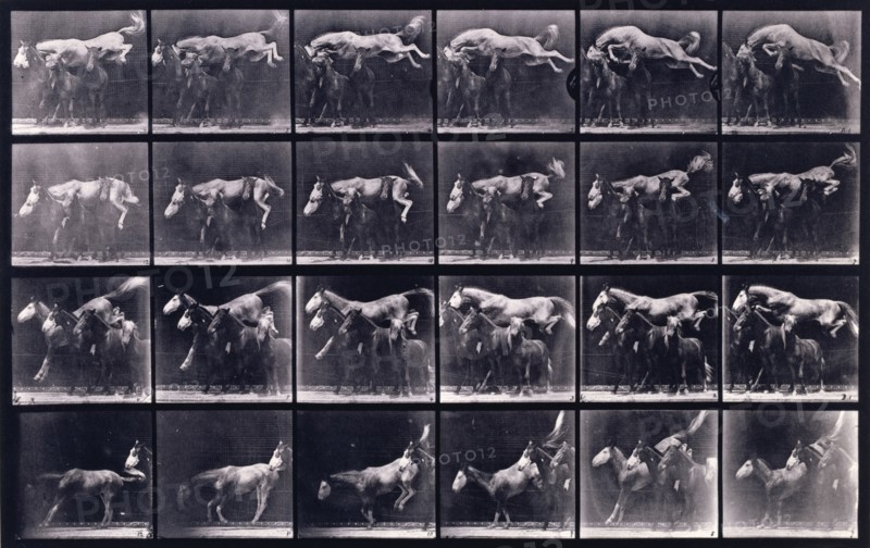 Jumping over three horses, 1872-1885.  Creator: Eadweard J Muybridge.