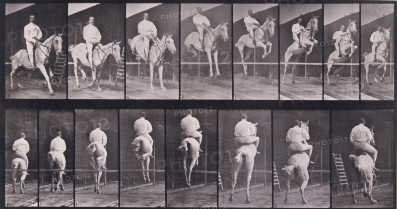 Jumping a hurdle, 1872-1885.  Creator: Eadweard J Muybridge.