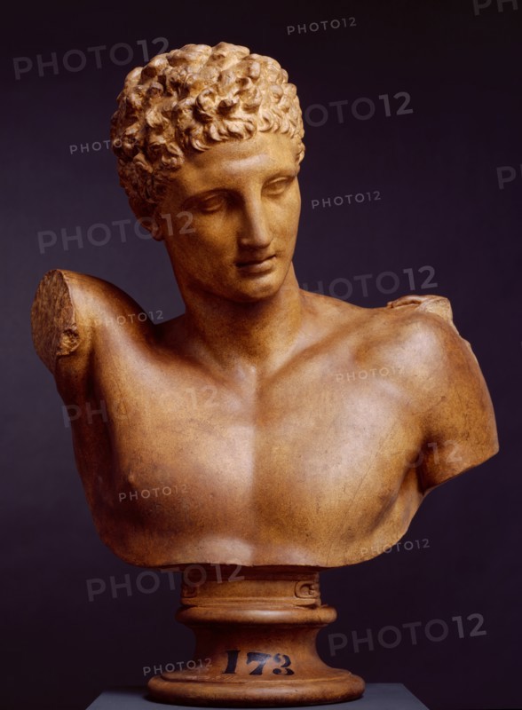 Cast of Bust of Hermes, (from the group 'Hermes with the Infant Dionysus'), (c350-330 BC), c1880s. Creator: D Brucciani & Co.