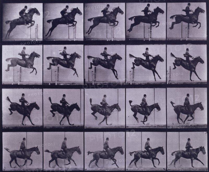 Jumping a hurdle,  1872-1885. Creator: Eadweard J Muybridge.