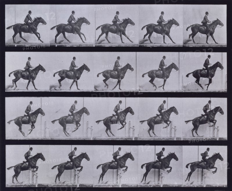 Jumping a hurdle, 1872-1885.  Creator: Eadweard J Muybridge.