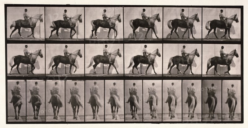 Walking, 1872-1885.  Creator: Eadweard J Muybridge.