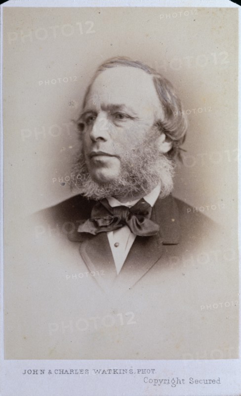 Lumb Stocks R.A., c1857. Creator: John & Charles Watkins.