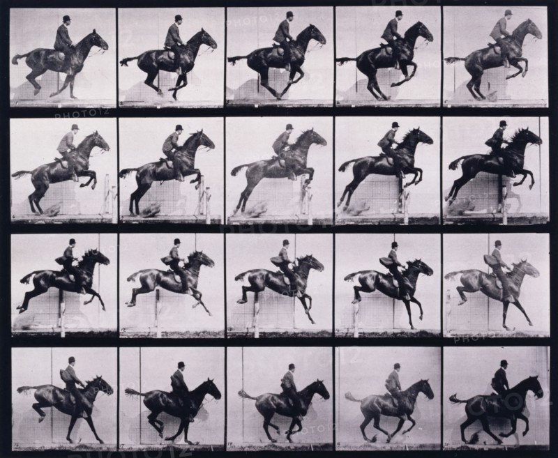 Jumping a hurdle, 1872-1885.  Creator: Eadweard J Muybridge.