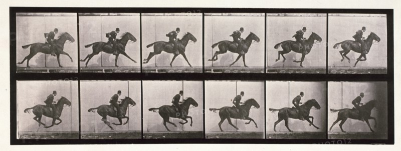 Gallop, 1872-1885.  Creator: Eadweard J Muybridge.