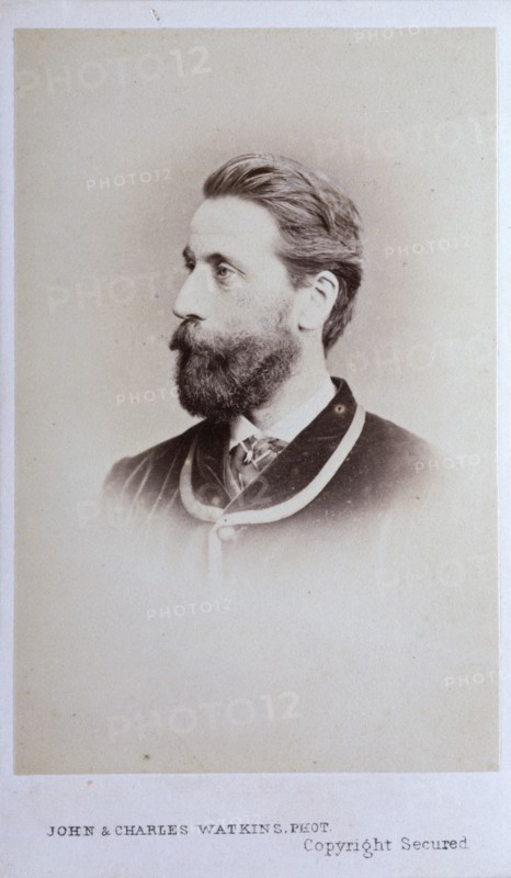 Henry Tamworth Wells  R.A., c1857. Creator: John & Charles Watkins.