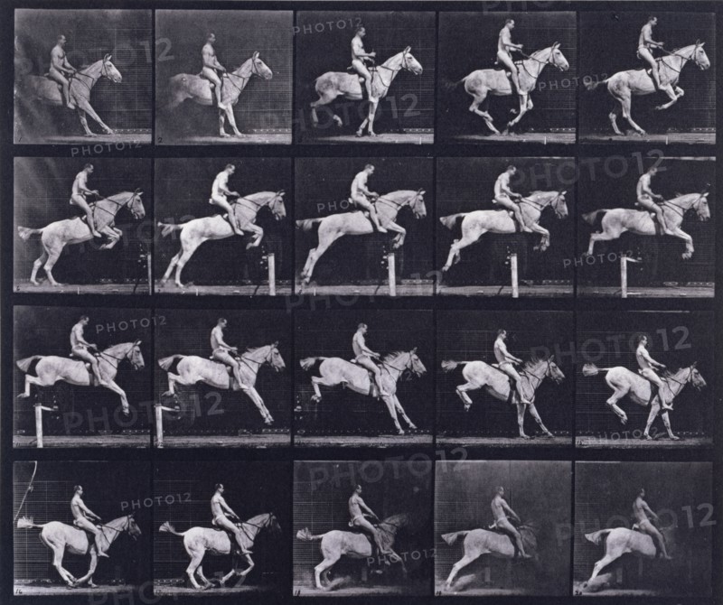 Jumping a hurdle, 1872-1885.   Creator: Eadweard J Muybridge.