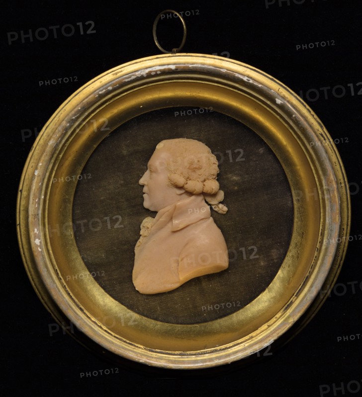Wax medallion portrait of Sir Joshua Reynolds PRA. Creator: Unknown.