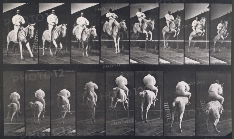Jumping a hurdle, 1872-1885.   Creator: Eadweard J Muybridge.