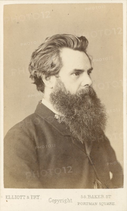 Thos. Woolner, c1865. Creator: Elliott & Fry.