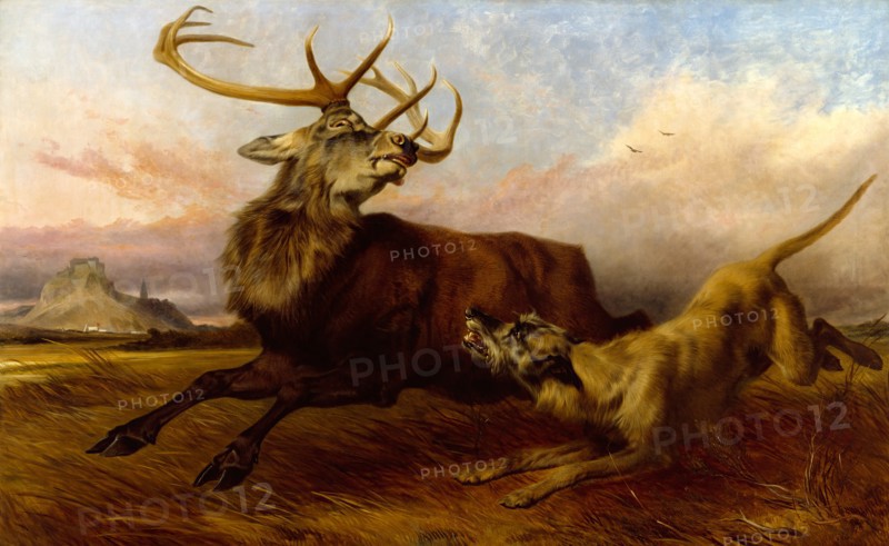 The Chase, 1870. Creator: Richard Ansdell.
