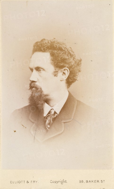 Henry Stacy Marks, R.A., c1865. Creator: Elliott & Fry.