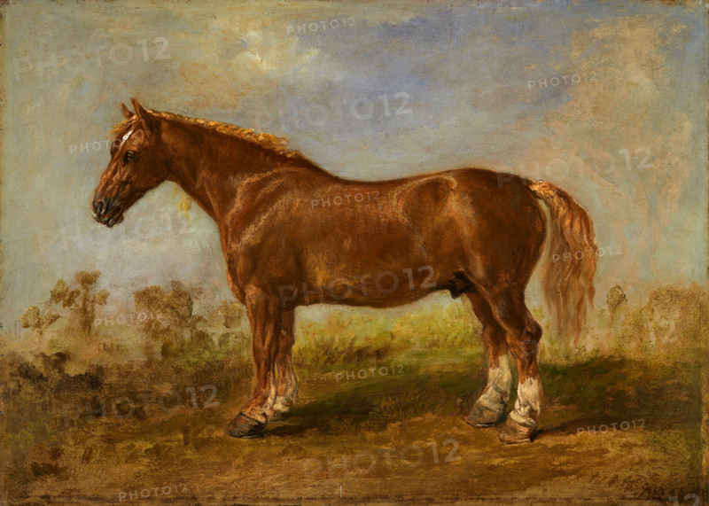 A Suffolk Carthorse, early 19th century?. Creator: James Ward.