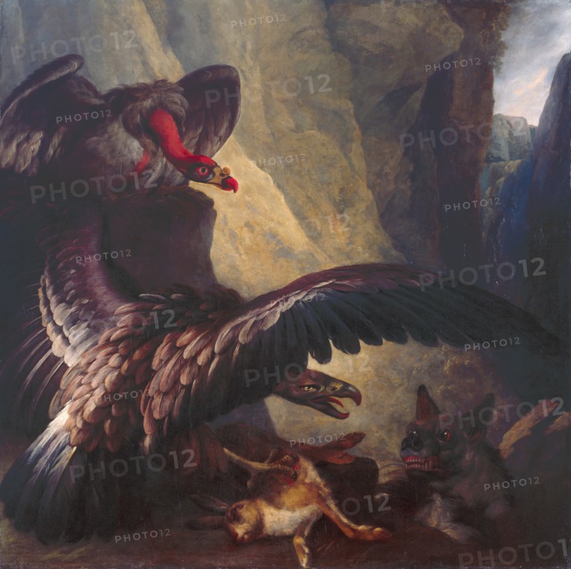 Eagle and Vulture disputing with a Hyena, c1801. Creator: Philip Reinagle.