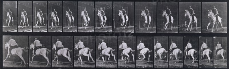 Gallop, 1872-1885.   Creator: Eadweard J Muybridge.