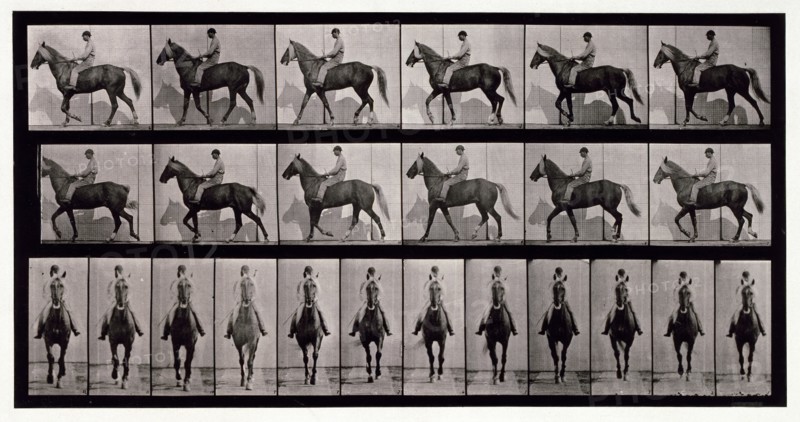 Walking, 1872-1885.  Creator: Eadweard J Muybridge.