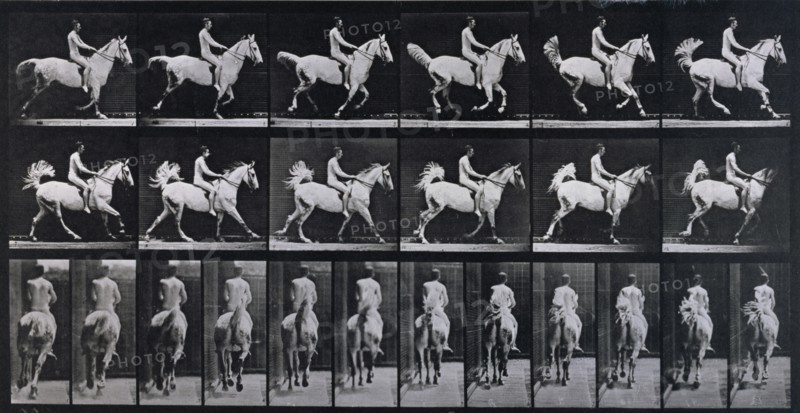 Canter, 1872-1885.  Creator: Eadweard J Muybridge.