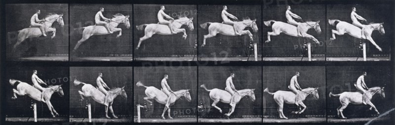 Jumping a hurdle , 1872-1885.   Creator: Eadweard J Muybridge.