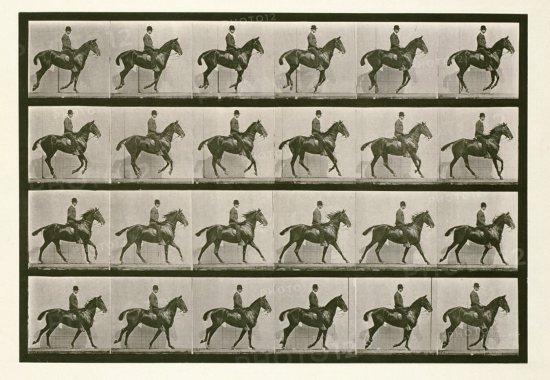 Canter, 1872-1885.  Creator: Eadweard J Muybridge.