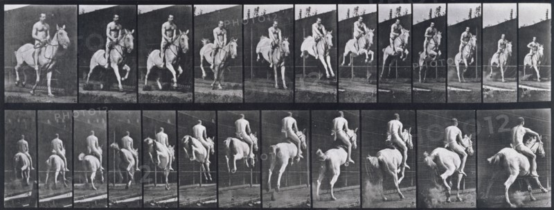 Jumping a hurdle, 1872-1885.   Creator: Eadweard J Muybridge.