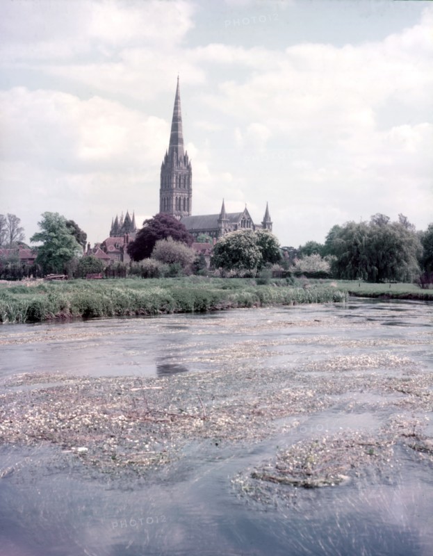 The Cathedral, Salisbury, Wiltshire, c1955. Creator: Arthur Charles Kirby Ware.