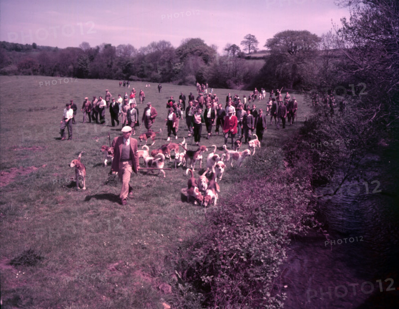 Hunting, Hawley, Somerset, c1955.  Creator: Arthur Charles Kirby Ware.