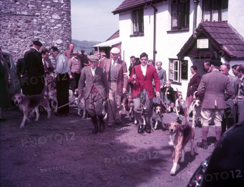 Hunting, Hawley, Somerset, c1955.  Creator: Arthur Charles Kirby Ware.