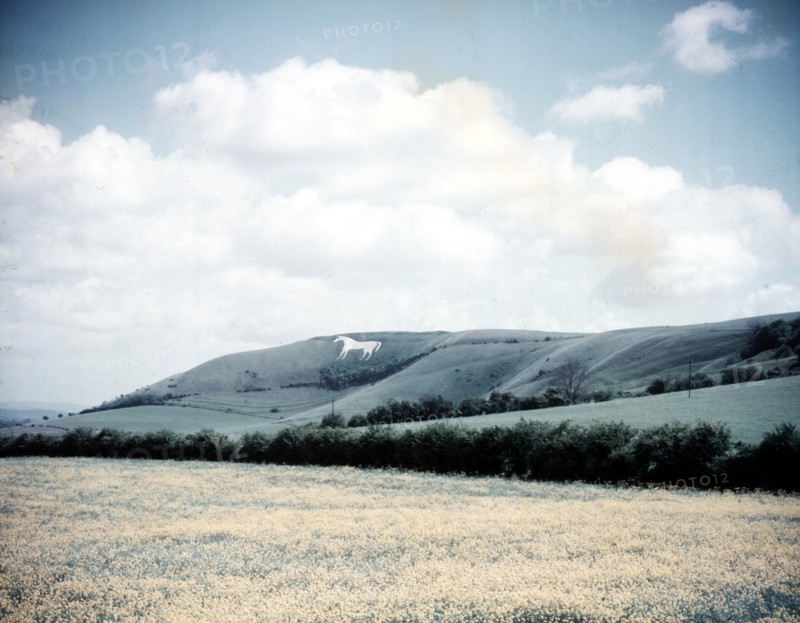 The White Horse at Westbury, Wiltshire, c1955. Creator: Arthur Charles Kirby Ware.