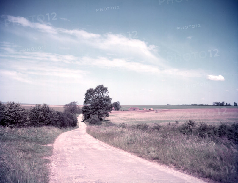 Downland scene near Aldworth, Berkshire, c1955.  Creator: Arthur Charles Kirby Ware.