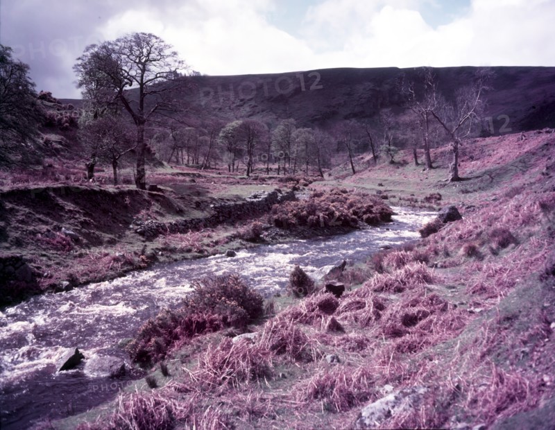 Wicklow, Ireland, c1955. Creator: Arthur Charles Kirby Ware.