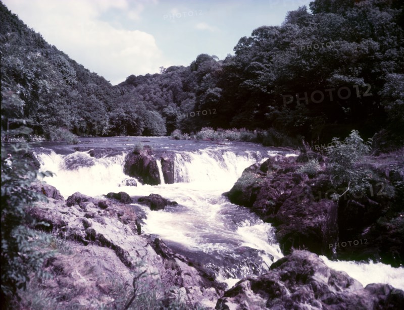 Salmon leap at Cenarth, Carmarthen, c1955.  Creator: Arthur Charles Kirby Ware.