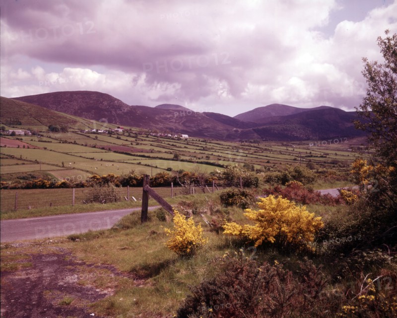 County Down, Northern Ireland, c1955. Creator: Arthur Charles Kirby Ware.