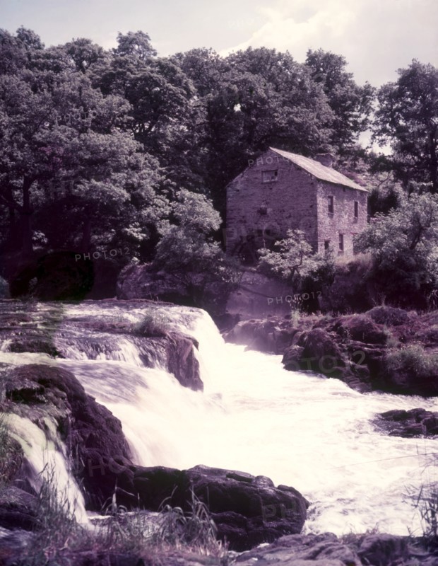 Salmon leap at Cenarth, Carmarthen, c1955.  Creator: Arthur Charles Kirby Ware.