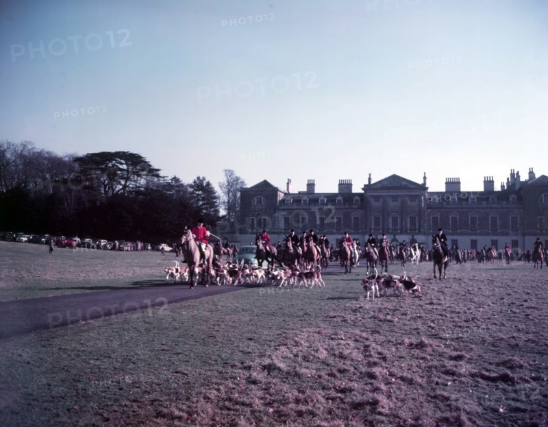 Hunt of Woburn Abbey, Bedfordshire, c1955.  Creator: Arthur Charles Kirby Ware.