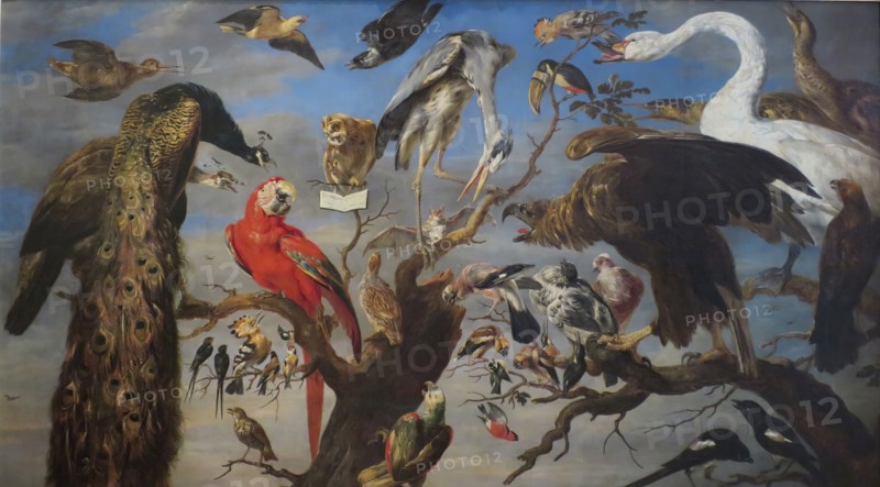 Bird's Concert, 1630. Creator: Frans Snyders.