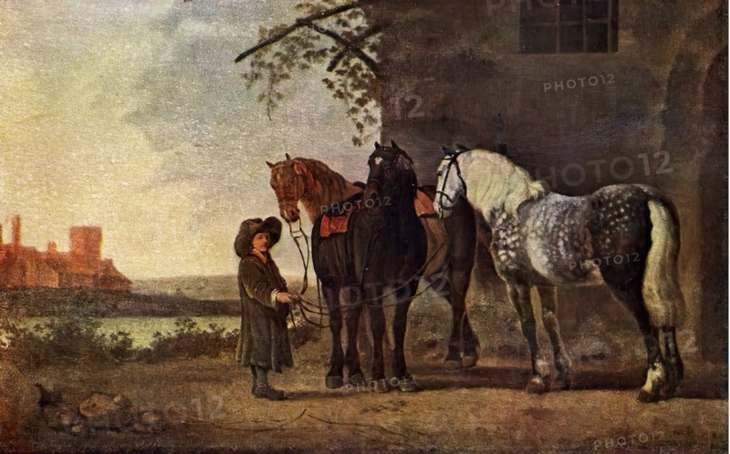 Horses, late 17th - early 18th century. Creator: Abraham Pietersz van Kalraet.