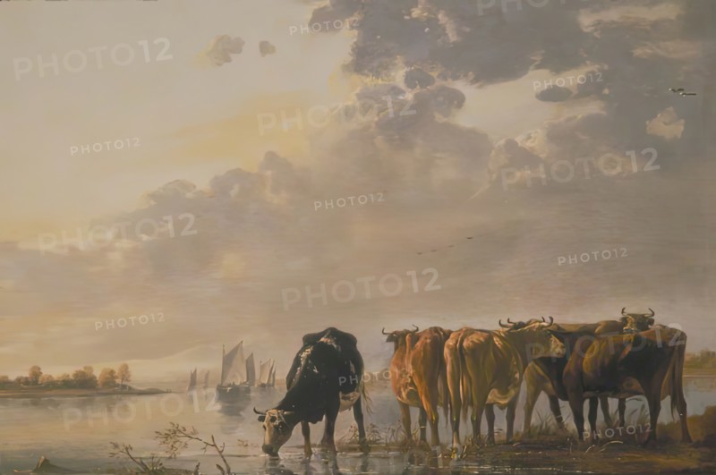 Cattle by a River, 1650. Creator: Aelbert Cuyp.