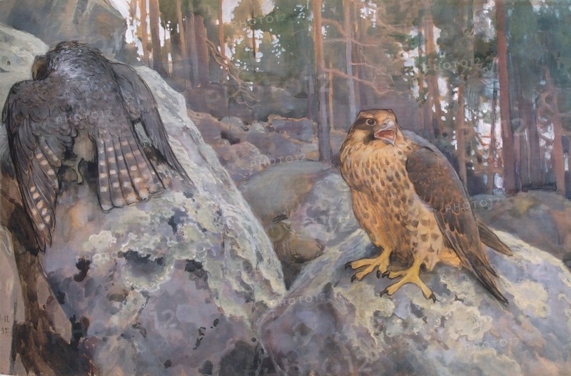 Falcons in the Forest, 1895. Creator: Eero Jarnefelt.
