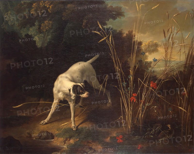 Dog Pointing a Partridge, 1725. Creator: Jean-Baptiste Oudry.