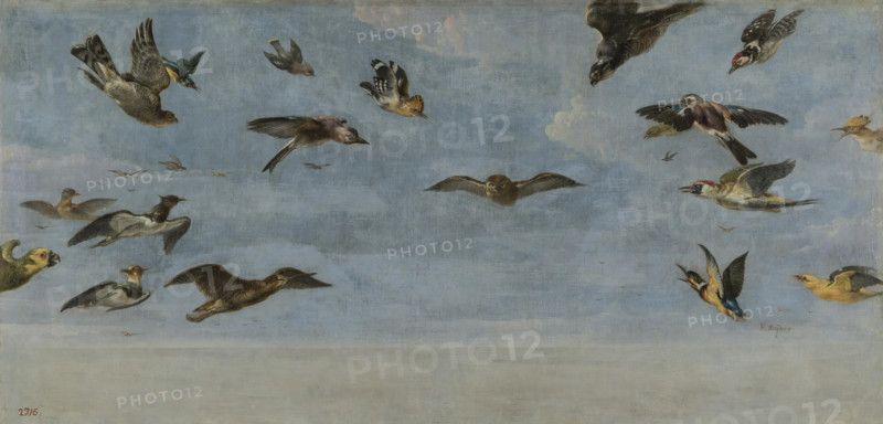 A Little Owl and a Flock of Birds, between 1600 and 1657. Creator: Frans Snyders.