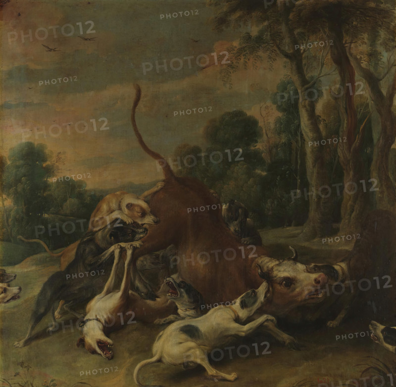 A bull overpowered by dogs, between 1620 and 1657. Creator: Frans Snyders.