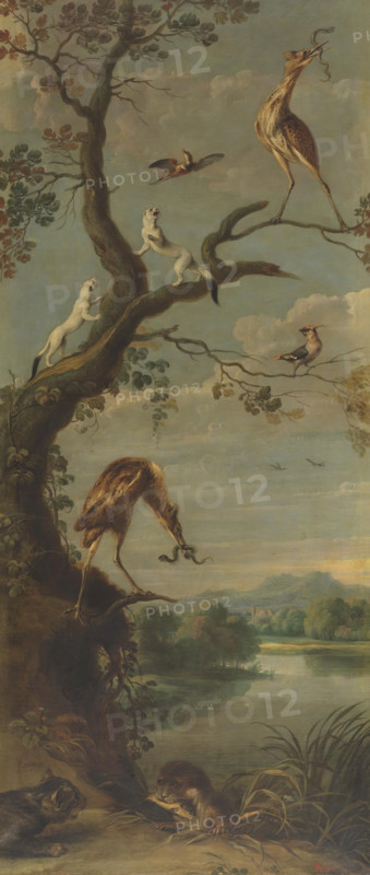 Waterfowl and Stoats, between 1600 and 1657. Creator: Frans Snyders.